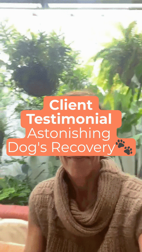 Animated image out of testimonial from Cuca & Negrita